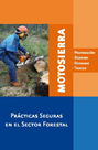 Motosierra