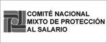Comision Nacional De Salarios Minimos