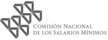 Comision Nacional De Salarios Minimos